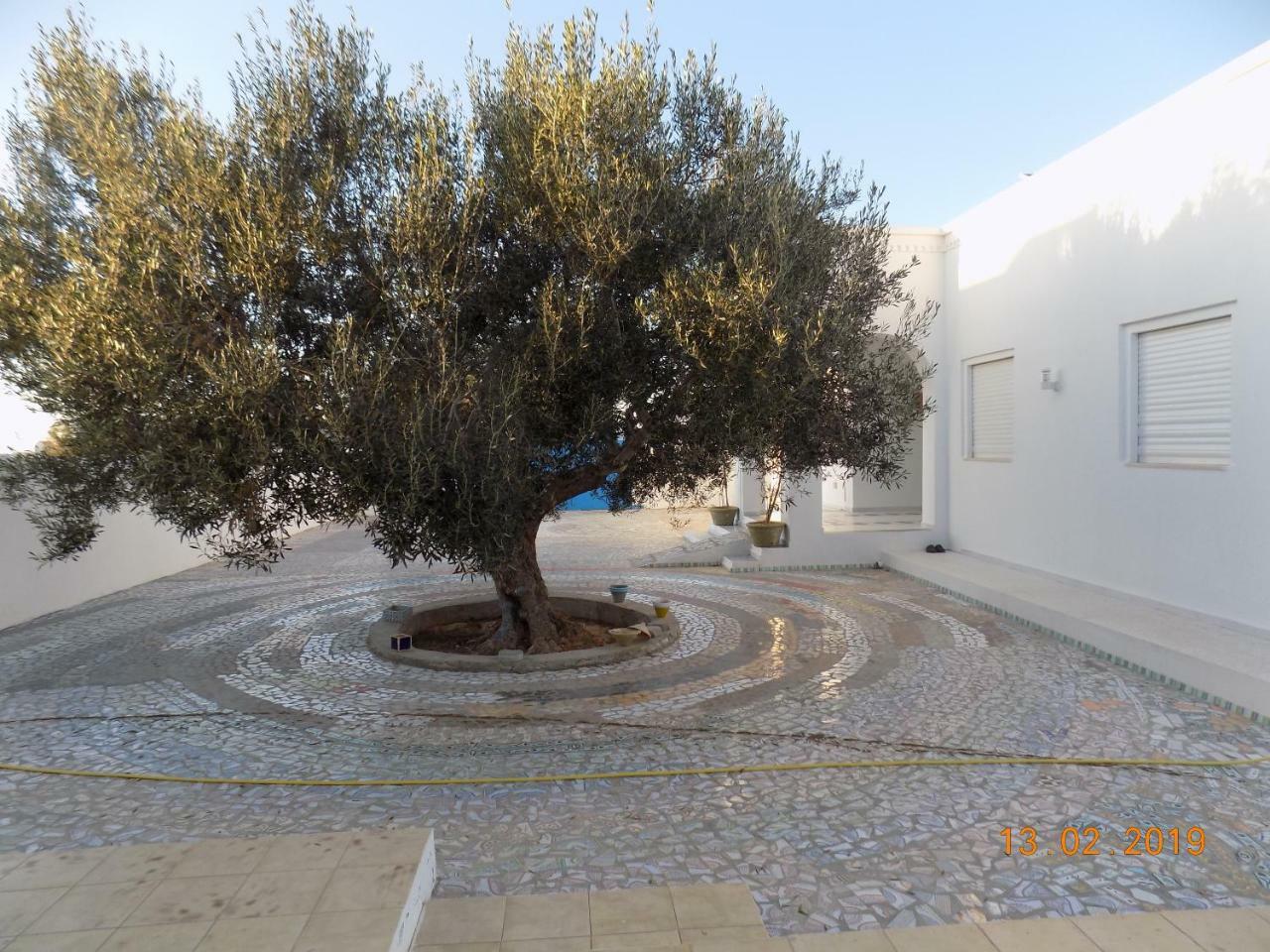 Dar Mamina Bed & Breakfast Sidi ash Shammakh Екстериор снимка